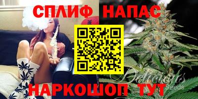 mdpv Будённовск