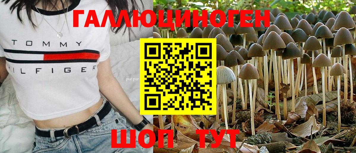 Галлюциногенные грибы Psilocybe  Вход с VPN  Ярцево 