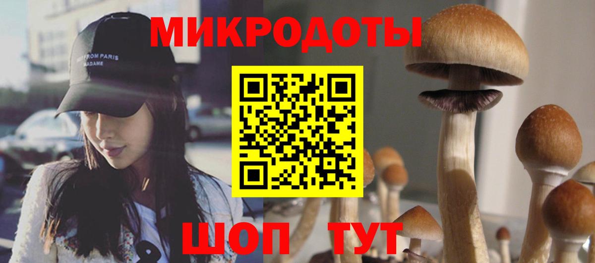 Галлюциногенные грибы Magic Shrooms Ярцево